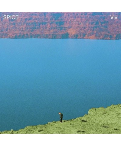 SPICE Viv Vinyl Record $7.99 Vinyl