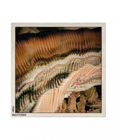 Feist Multitudes Photo Silk Scarf $14.21 Decor