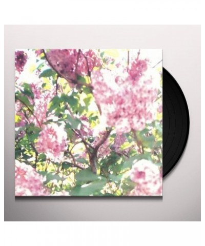 Actual Water PAISLEY ORCHARD Vinyl Record $12.25 Vinyl