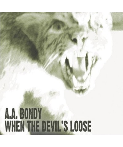 A.A. Bondy When The Devil's Loose Vinyl Record $9.40 Vinyl