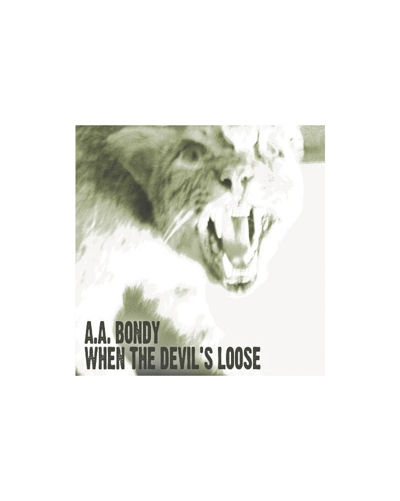 A.A. Bondy When The Devil's Loose Vinyl Record $9.40 Vinyl